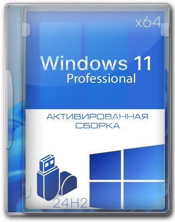 Windows 11 Pro Lite 24H2 build 26100.7171