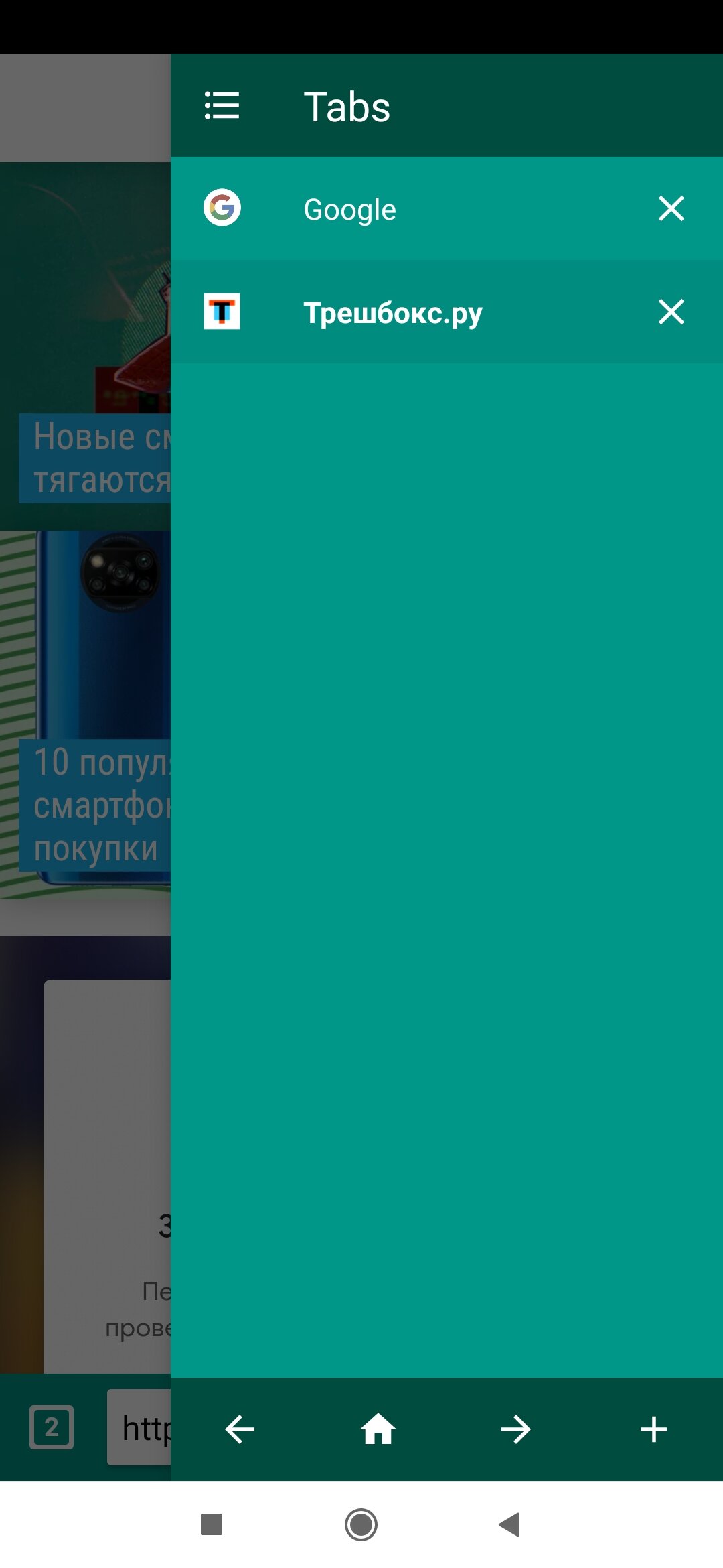 DRUZIK BROWSER 1.0.11 screenshot_02