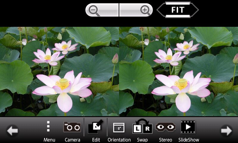 3DSTEROID 4.31 screenshot_01