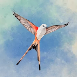 WINGSPAN