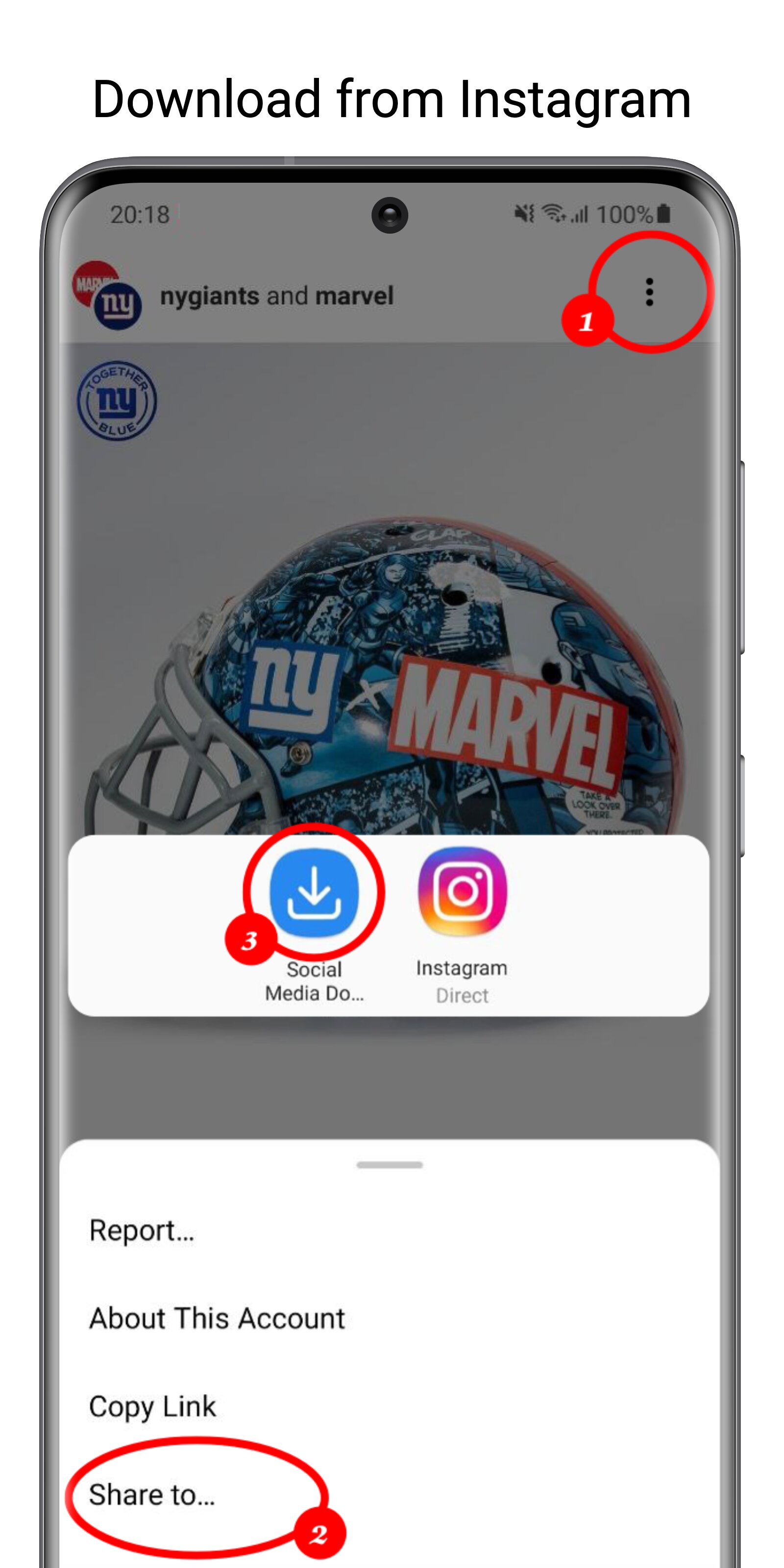 SOCIAL MEDIA DOWNLOADER 1.3.8 screenshot_02