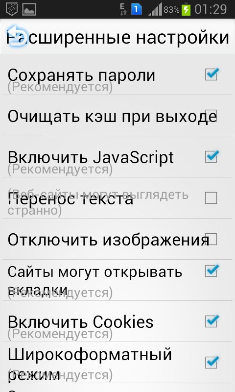 ALING БРАУЗЕР 1.1.2 screenshot_05