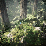 Screenshot #4 - Coniferous Forest