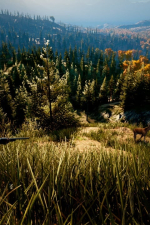 Screenshot #6 - Hunting Simulator 2