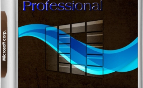 Windows 10 Optima Pro 22H2 19045.3930 x64