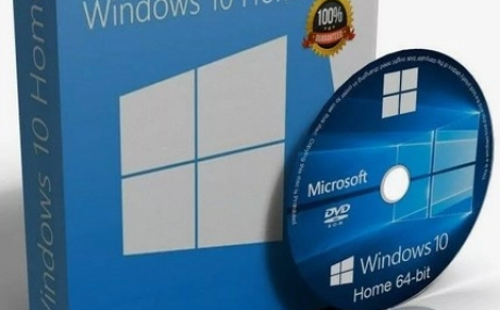 Windows 10 Home 22H2 19045.4412 x64 Stable