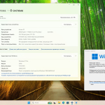 Screenshot #2 - Windows 11 Pro 24H2 Build 26100.3476 Full Март 2025