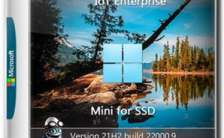 Windows 11 IoT Enterprise Mini 22000.9 for SSD by xalex (x64)