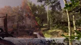 Screenshot #2 - Seasonal Forest