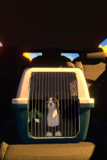 Screenshot #12 - Copycat