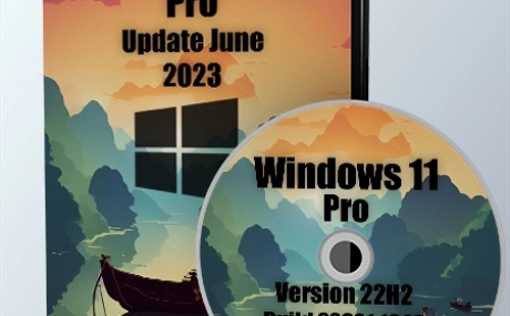 Windows 11 Pro 22H2 Build 22621.1848 Full June 2023