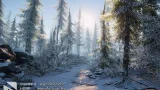 Screenshot #4 - Winter Environment - Nature Pack