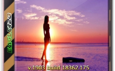 Windows 10 1903 18362.175 06.2019 x86/x64 16in1 by Eagle123