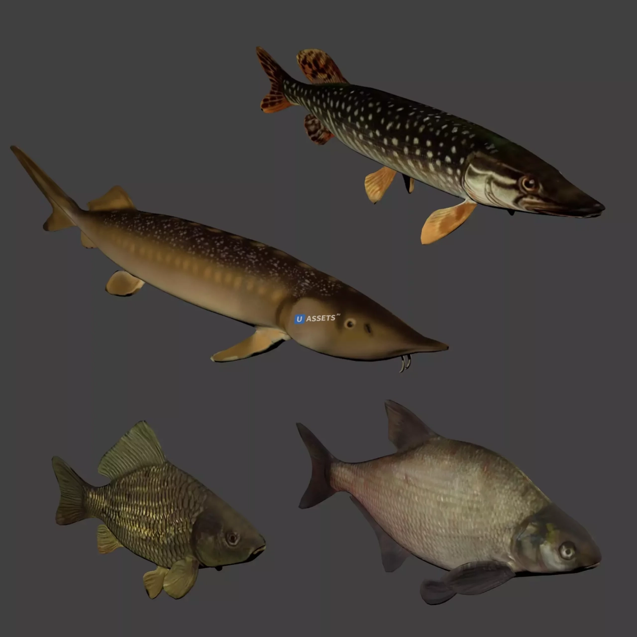 Screenshot #4 - Fish animation