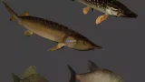 Screenshot #4 - Fish animation