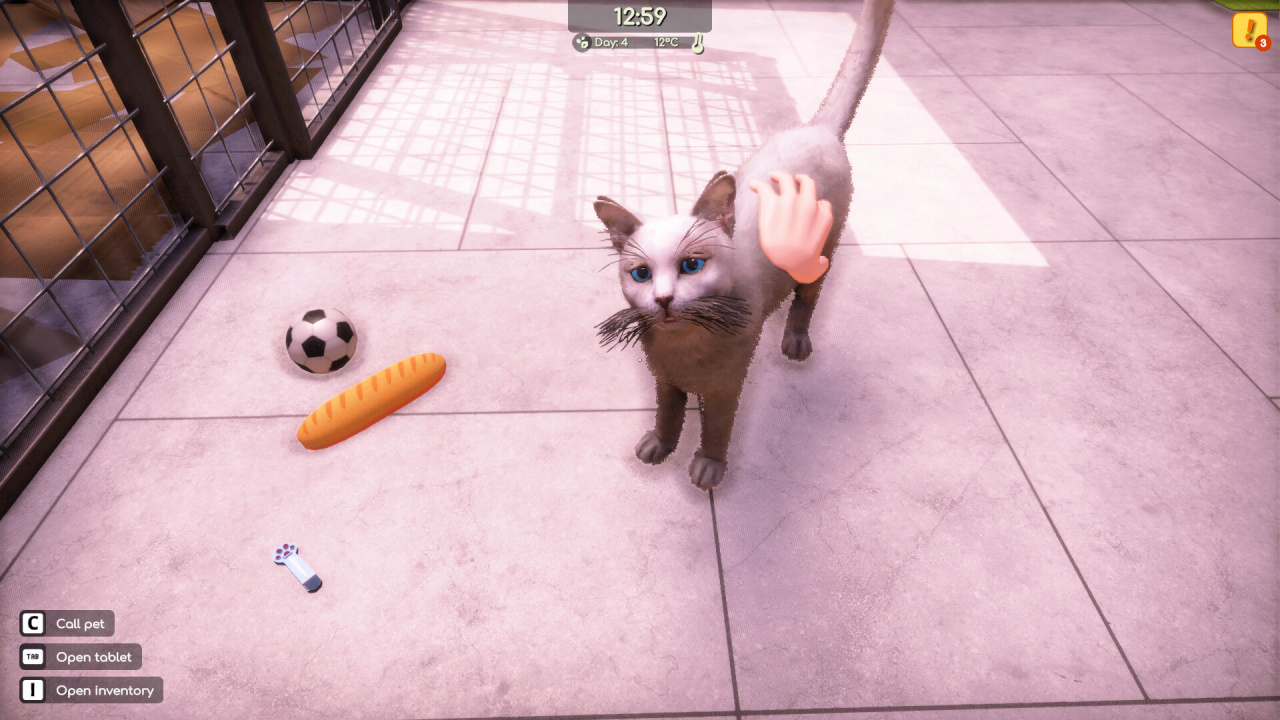 Screenshot #2 - Animal Shelter 2