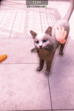 Screenshot #2 - Animal Shelter 2