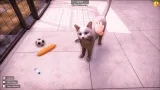 Screenshot #2 - Animal Shelter 2