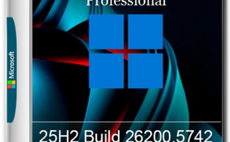 Windows 11 Pro 25H2 Build 26200.5742 Dev