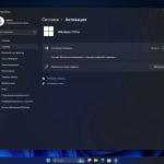 Screenshot #5 - Windows 11 Pro 23H2 Build 22631.4169 Full Сентябрь 2024