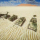 All Vehicles BF2
