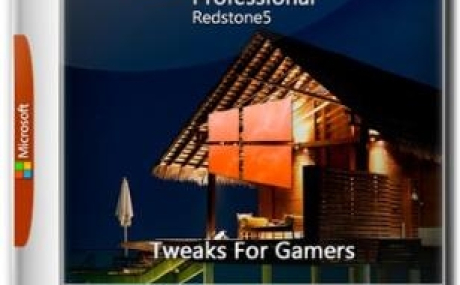 Windows 10 Pro RS5 + tweaks For Gamers and user by Nickyseb (x64) (Multi-12) [28/01/2019]
