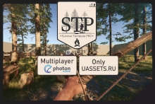 Multiplayer PUN 2 Integration (STP)