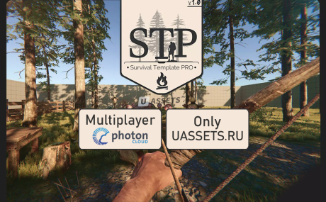 Multiplayer PUN 2 Integration (STP)
