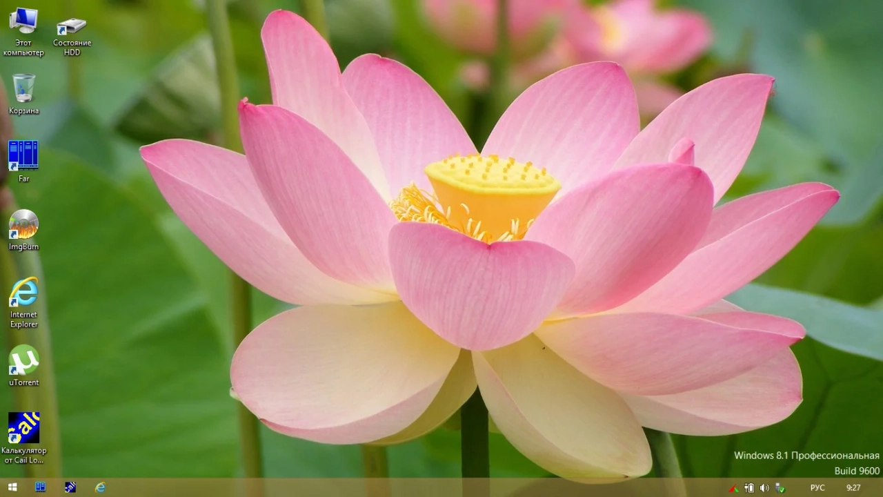 Screenshot #1 - Windows 8.1 для слабых ПК Pro (6.3.9600.17056) Lite x64 by Divet