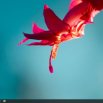 Screenshot #1 - Windows 10 IoT Enterprise 2021 LTSC x64 Март 2025