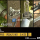 WW2 Weapons Pack 1