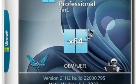 Windows 11 Pro x64 3in1 21H2.22000.795 July 2022 by Generation2