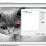Screenshot #2 - PixBuilder Studio 2.2
