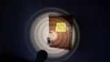 Screenshot #8 - Frog Legs