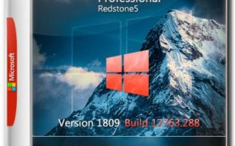 Windows 10 Pro x64 RS5 1809.17763.288 by Nicky