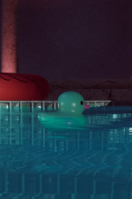 Screenshot #5 - Placid Plastic Duck Simulator