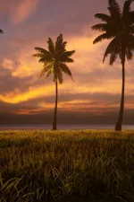 Screenshot #11 - Miami Vice City (Unreal Engine)
