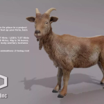 Screenshot #3 - FARM ANIMALS PACK