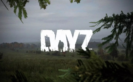 Пакет звуков из DayZ