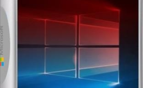 Windows 10 Корпоративная LTSC 2019 17763.316 Version 1809 x86/x64 2 образа