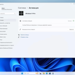 Screenshot #5 - Windows 11 Pro 23H2 Build 22631.4317 Октябрь 2024