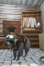 Screenshot #9 - Wanted Raccoon