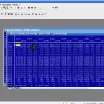 Screenshot #6 - WinOLS 4.7 - редактор прошивок ЭБУ чип тюнинг  (no WM)