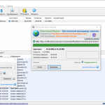 Screenshot #2 - Download Master