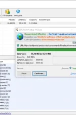 Screenshot #2 - Download Master