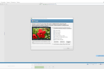 Screenshot #4 - Picasa