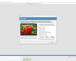 Screenshot #4 - Picasa