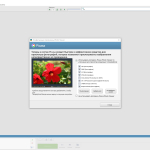 Screenshot #4 - Picasa