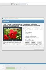 Screenshot #4 - Picasa