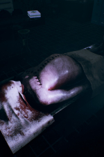 Screenshot #2 - Waking Dreams